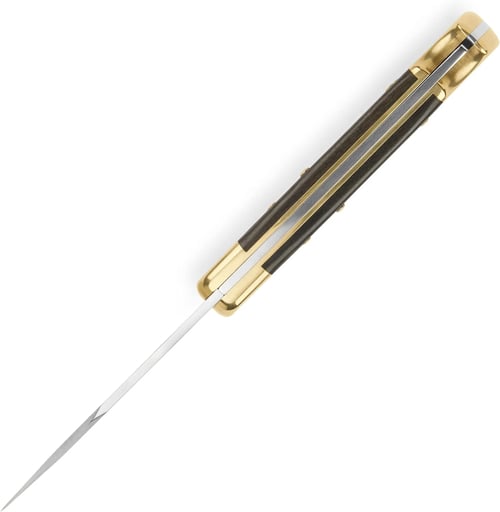 Buck 110 Folding Hunter Lock-back Knife, Brass Bolsters, Ebony Handles, 3-3/4" 420HC Blade with Leather Sheath